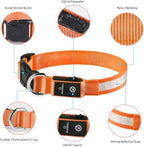 MASBRILL LED Dog Collar - Rechargeable, Waterproof, Glow Collar for Small to Large Dogs
