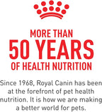 Royal Canin Feline Health Nutrition Dry Kitten Food, Supports Digestive Health, Immune Support and Healthy Energy, 3 lb Bag