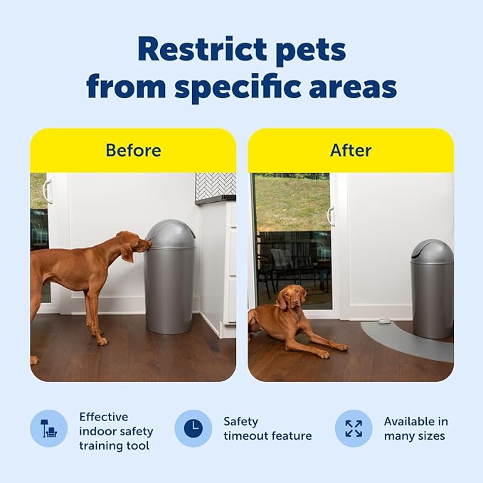 PetSafe ScatMat Indoor Training Mat