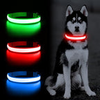 YFbrite Ultra Light Adjustable LED Dog Collar, Light up Dog Collars Rechargeable Glowing in The Dark Collars Visiblity & Safety for Small, Medium, Large Dogs (Red, Medium)