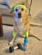 Nestpark Fitness Funny Dog Toys - Doggyade and Doggy Dumbbell Workout Parody Cute Dog Toys - 2 Pack (Workout Pack)