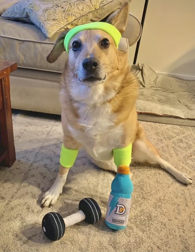 Nestpark Doggy Dumbbell - Funny Dog Toys Fitness Workout Parody Cute Dog Toys (Dumbbell)