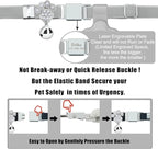 Personalized Safety Elastic Cat Collars with Bell Soft Silicone Cover for Air Tag,Laser Customized Stretch Kitten Collars for Girls Boys Cats (Grey)
