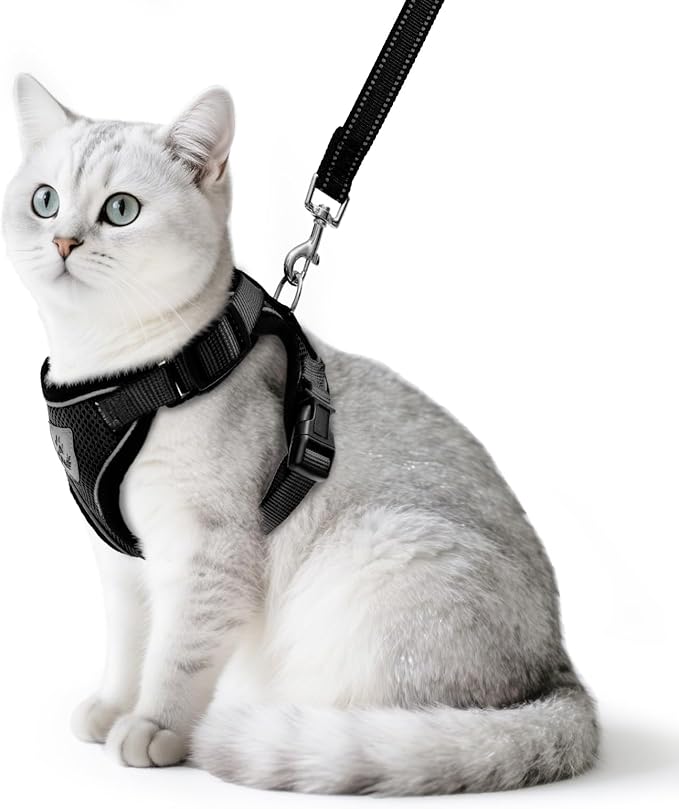 PUPTECK Cat Harness and Leash Set Escape Proof Reflective Cat Walking Harness Adjustable Soft Breathable Mesh Vest for Small Pets, Black, M