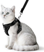 PUPTECK Cat Harness and Leash Set Escape Proof Reflective Cat Walking Harness Adjustable Soft Breathable Mesh Vest for Small Pets, Black, L