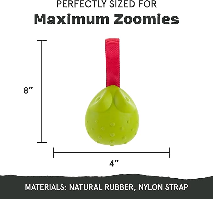 Barkbox Tug Tied Toad Dog Toy for Tough Chewers – Durable Rubber Design, Perfect for Tug-of-War