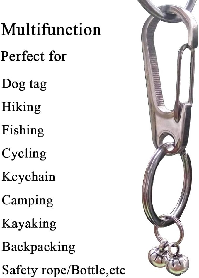 IVIA Dog Tag Clips / 2 Pack/Multiple Size 304 Stainless Steel Quick Clip with Rings/Easy Change Dog Cat ID Tag Holder for Small pet Collars and Harnesses.(2 Large Silver)