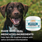 Nootie Medicated Dental Wipes for Dogs, Cleans Teeth and Freshens Breath for Dogs - Prevents Plaque and Tartar Dog Oral Care, 60 Count