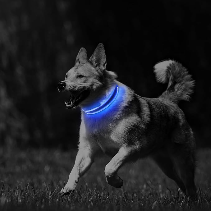 PcEoTllar Light up Dog Collars Rechargeable, LED Dog Collar Night Walking, Waterproof Flashing Glow in The Dark Dog Collars, Adjustable Dog Lights for Large Small Medium Dogs Blue-m
