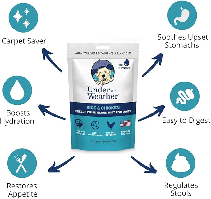 Under the Weather Bland Diet for Dogs | Easy to Digest for Sick Dogs | Always Be Ready | Contains Electrolytes - All Natural Freeze Dried 100% Human Grade Meats | 6 Pack - Multiflavor - 6oz