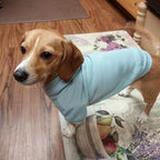 BINGPET Dog Hoodies - Fleece Lined Fall Dog Puppy Sweatshirt Soft Warm Sweater Winter Hooded Clothes for Small Medium Large Dogs & Cats