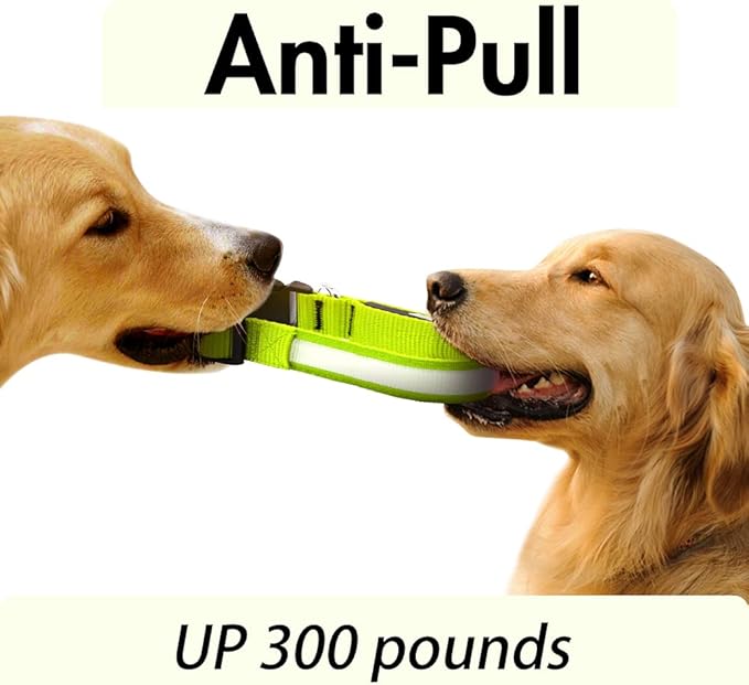 LED Dog Collar - Light Up, Waterproof, Adjustable Flashing, Rechargeable Visibility & Safety for Dogs (Green, Large)