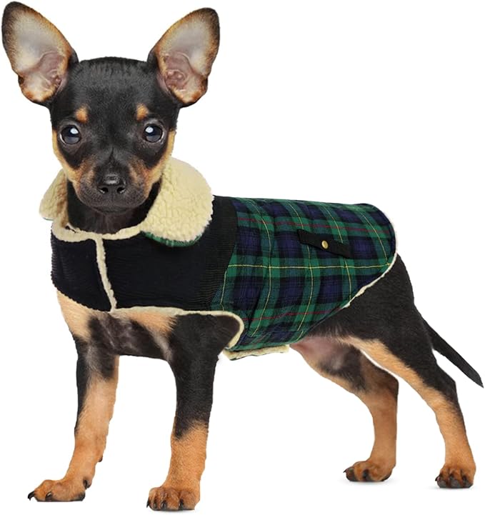 Winter Coat for Small and Medium Dogs, Puppy Plaid Jacket, Cotton Coat for Cold Weather, Windproof Warm Dog Garments, Pet Thickened Outfits Indoor Outdoor, Green M