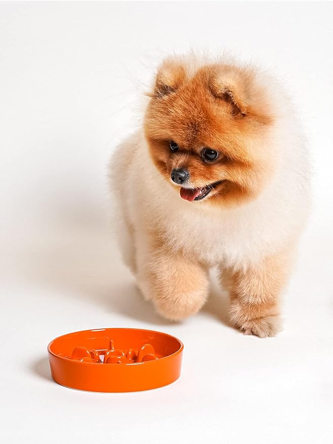 LE TAUCI Ceramic Slow Feeder Dog Bowls Small Breed, 0.6 Cups Dog Food Dish for Fast Eaters, Puzzle Bowl for Small Dogs and Cats,Sun Orange