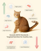 Freeze-Dried Cat Food, High Protein Healthy Freeze Dried Cat Treat & Topper (Beef Recipe - 0.7 Ounce)