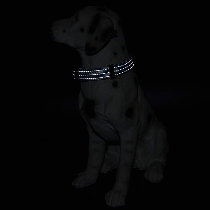 Mile High Life Dog Collar | Nylon Reflective Dog Collars | Light Weight Puppy Collars | Purple Dog Collars for Small Dogs (Solid Purple, Small)