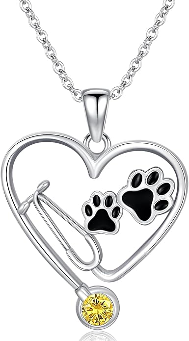 Birthstone Veterinary Stethoscope Necklace 925 Sterling Silver Nurse Vet Pendant with Dog Paw Nurse Jewelry Gifts for Veterinarian Nurse Women Veterinarian Gifts