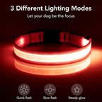 Vizpet LED Dog Collar, Light Up Dog Collar Adjustable USB Rechargeable Super Bright Safety Light Glowing Collars for Dogs(Medium,Red)