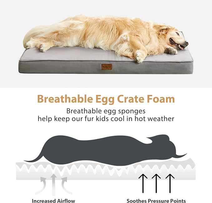 BFPETHOME Outdoor Dog Beds for Large Dogs, Waterproof Dog Bed for Medium, Large, Extra Large Dogs, Orthopedic Pet Bed with Removable Washable Cover, Egg Crate Foam Pet Bed Mat. (42 x 30 in, Grey)
