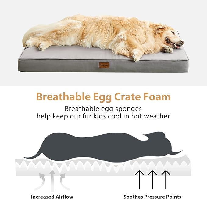 BFPETHOME Outdoor Dog Beds for Large Dogs, Waterproof Dog Bed for Medium, Large, Extra Large Dogs, Orthopedic Pet Bed with Removable Washable Cover, Egg Crate Foam Pet Bed Mat. (36 x 27 in, Grey)