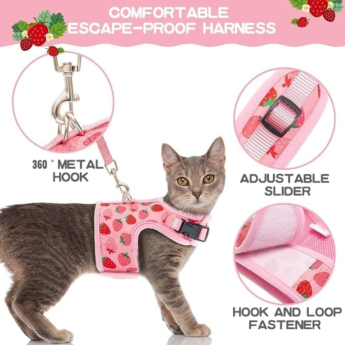 BINGPET Cat Harness with Leash Escape Proof - Fashionable Mesh Cat Dog Walking Harness Leads, Adjustable for Kitties Puppies Small Animals