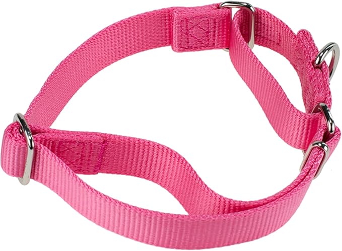 Hyhug Martingale Collar for Dogs Large Pink |Escape - Proof Heavy Duty Nylon Durable No Pull, Ideal for Training & Daily Walks