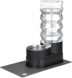 RIZZARI Automatic Pet Waterer, Gravity Stainless Steel Water Dispenser, 100% BPA-Free, Large Capacity Water Feeder for Cats and Small and Medium-Sized Dogs (Jet Black, 9L)