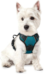 rabbitgoo Dog Harness No Pull with 2 Leash Clips, Adjustable Soft Padded, Reflective Oxford No Choke Pet Vest with Easy Control Handle for Puppy, Blue Coral, XS