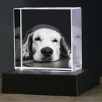 3D Crystal Photo,Pet Memorial Gifts for Dogs,Cats,Christmas Customized Gift,Personalized Dog Memorial Gift, Customized Pet Gifts,Personalized Photo Gifts