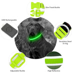 YFbrite Light up Dog Collar, USB Rechargeable LED Puppy Collar Super Bright Adjustable Glowing Dog Lights for Night Walking (Green, Small)