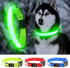 LED Dog Collar - Light Up, Waterproof, Adjustable Flashing, Rechargeable Visibility & Safety for Dogs (Green, Large)