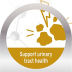 Forza10 - Cat Food, Urinary Tract Wet Cat Food, Non GMO, Vet-Approved UTI Support with Salmon Flavor, Made in Italy (3.5 oz, 32 Pack)