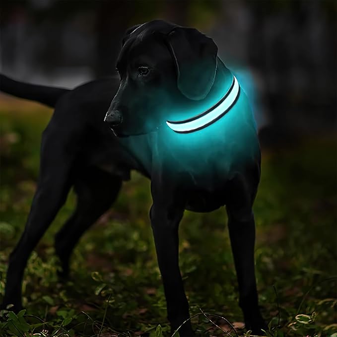 MASBRILL Light Up Dog Collars - LED Dog Collar Rechargeable Lighted Dog Collars for Night Resistant-Water Glow Dog Collar