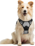 rabbitgoo Dog Harness No Pull with 2 Leash Clips, Adjustable Soft Padded, Reflective Oxford No Choke Pet Vest with Easy Control Handle for Medium Sized Dogs, Grey, M