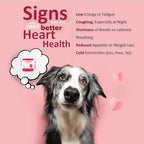 Heart Support Supplement for Dogs-Vet-Formulated, Antioxidant-Rich-L-Taurine, L-Carnitine,EPA,DHA,CoQ10-Aids Circulatory Strength, Cardiovascular Support, Heart Muscle Function-USA Made-60 Soft Chews