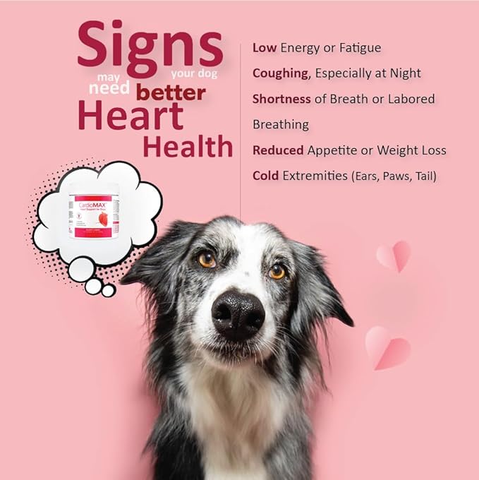 Heart Support Supplement for Dogs-Vet-Formulated, Antioxidant-Rich-L-Taurine, L-Carnitine,EPA,DHA,CoQ10-Aids Circulatory Strength, Cardiovascular Support, Heart Muscle Function-USA Made-60 Soft Chews
