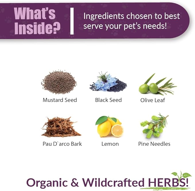 Amber NaturalZ UTR Urinary Tract Herbal Supplement for Dogs, Cats, Birds, Guinea Pigs, and Rabbits | Pet Herbal Supplement for Bladder Support | 4 Fluid Ounce Glass Bottle | Manufactured in The USA