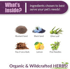 Amber NaturalZ UTR Urinary Tract Herbal Supplement for Dogs, Cats, Birds, Guinea Pigs, and Rabbits | Pet Herbal Supplement for Bladder Support | 4 Fluid Ounce Glass Bottle | Manufactured in The USA