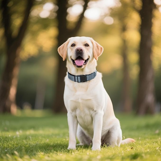 Reflective Dog Collar, Soft Neoprene Padded Nylon Pet Collar with Quick-Release Buckle, Adjustable for Extra Large Dogs,Grey,XL