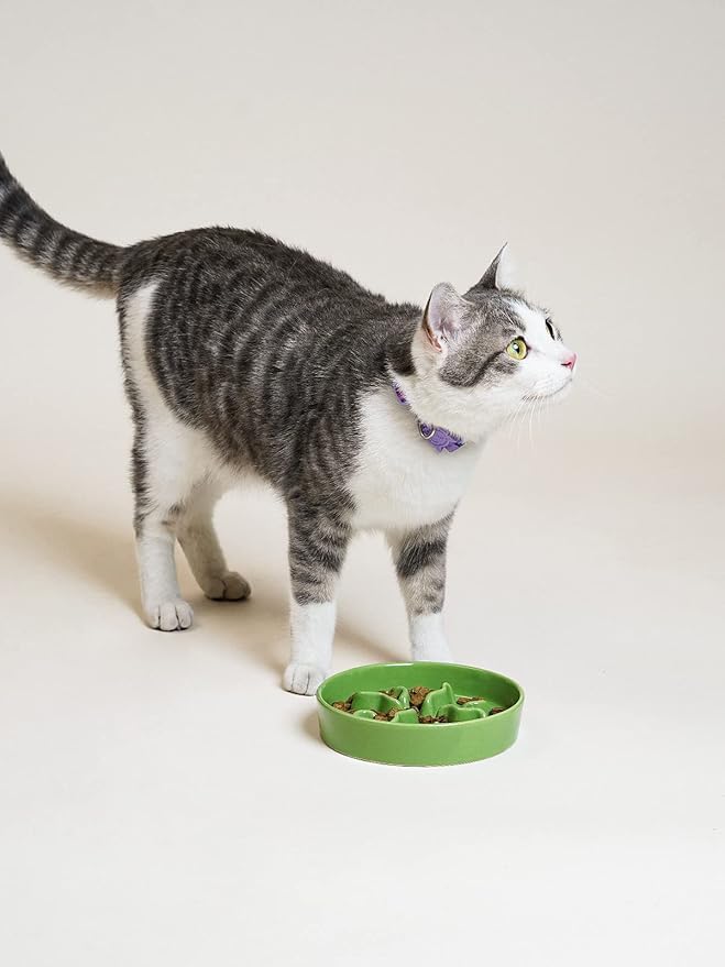 Ceramic Slow Feeder Dog Bowls Small Breed, 0.5 Cups Dog Food Dish for Fast Eaters, Puzzle Bowl for Small Dogs and Cats, 5.5 Inch-Green