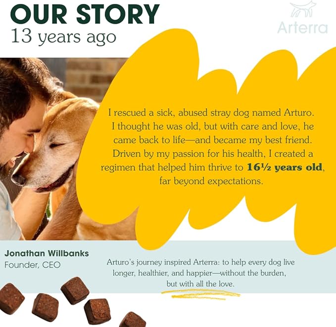 Arterra Longevity Multivitamin for Dogs – 50% Active Ingredients – Vet-Formulated Daily Soft Chews for Gut, Brain, Joint & Immune Health – Human-Grade Supplement | 60 Count