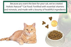 Bench & Field Holistic Natural Premium Adult Dry Cat Food, Chicken Meal and Brown Rice Recipe 3 lb Bags (Pack of 3)