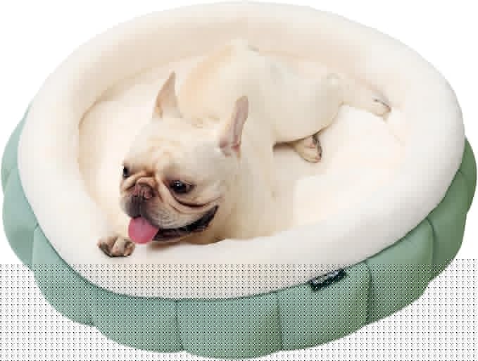 BALANCE Round Cat Beds for Indoor Cats - Donut Dog Bed for Medium Dogs, Washable Medium Pet Bed, Round Fluffy Plush Faux Fur Cat Bed with Anti-Slip Bottom