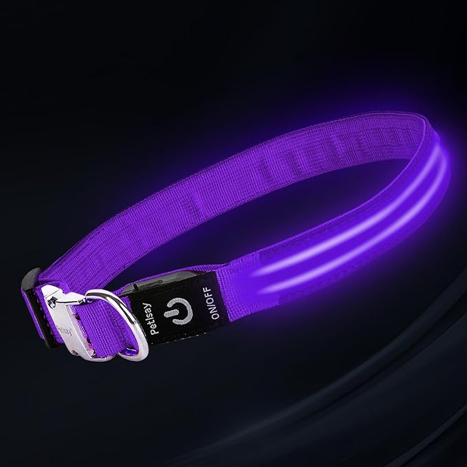LED Dog Collar with Metal Buckle - USB Rechargeable Glow Collar for Dogs, Waterproof Light Up Dog Collar w/Reflective Strips - Adjustable Night Safety Collars by PetIsay(Purple,Medium)