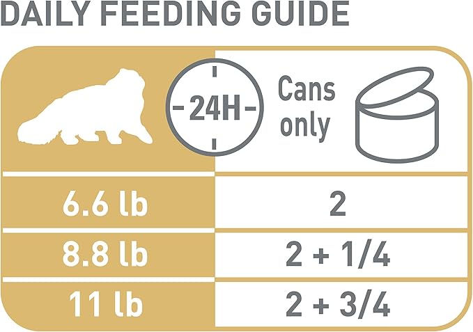 Royal Canin Feline Breed Nutrition Persian Adult Loaf in Sauce Cat Food, 3 oz (Pack of 6)