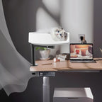 Cat Bed for Desk Elevated Cat House Over Desk Keeps Kitten Cat Close and Workspace Clear Cat Box with Pet Cushions (Straight Rod)