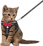 Cat Leash and Harness Set,Breathable Dog Harness,Pet Harness,Adjustable Mesh cat Harness and Leash Escape Proof for Puppy Cat Rabbit (Black, XXS)