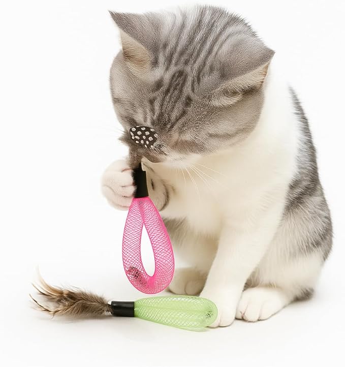 20PCS Interactive Cat Toys for Indoor Cats, Feather Elastic Mesh Cat Toy, Catnip Ball, Colorful Cat Spring, Kitty Rainbow Plush, Teething & Self-Play Kitten Accessories Variety Pack