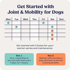 Summit Canine Joint and Mobility Supplement for Medium Dogs, All Natural Liquid Chondroitin, Liposomal Delivery for Arthritis, Hip & Joint Support Vitamin, (Dogs, 25-75lbs)