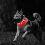 PcEoTllar Light up Dog Collars Rechargeable, LED Dog Collar Night Walking, Waterproof Flashing Glow in The Dark Dog Collars, Adjustable Dog Lights for Large Small Medium Dogs Red-L